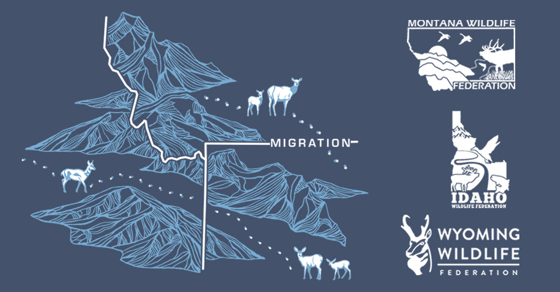Celebrating Wildlife Migrations