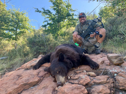 Bears, in the Wild and in the Kitchen