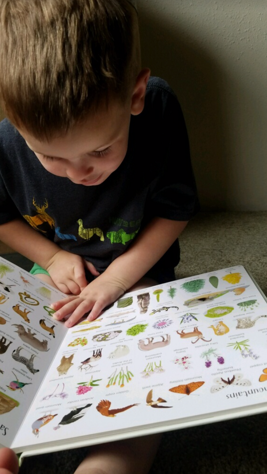 Kids Summer Book List