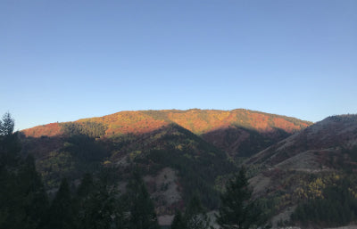 The Mountain