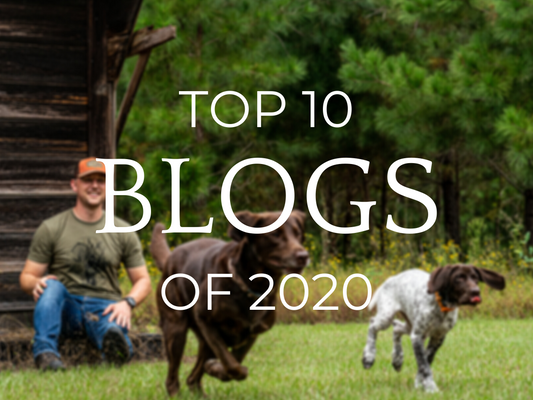 Top 10 Blogs of 2020