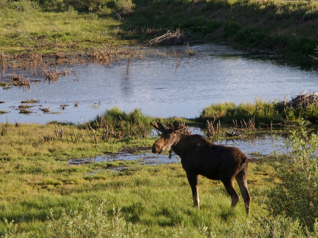 Catching Up to Change: A sportsman’s perspective on climate change