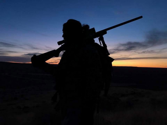 Hunting Wildlife in the USA