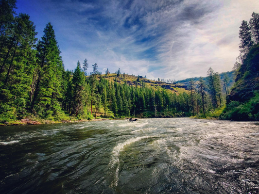 The River Elk
