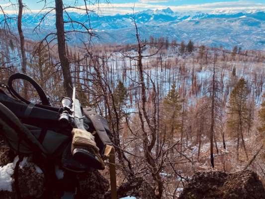 Strike a Balance: Advice from a seasoned elk hunter