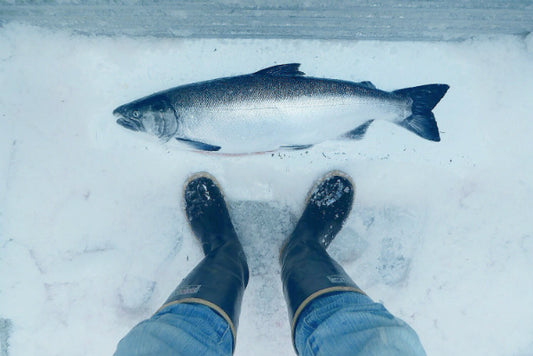 Schoolhouse Fish Co.