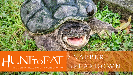 How to clean a snapping turtle with Jonah Curtis