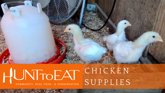 Meat Chickens Pt 2: Supplies