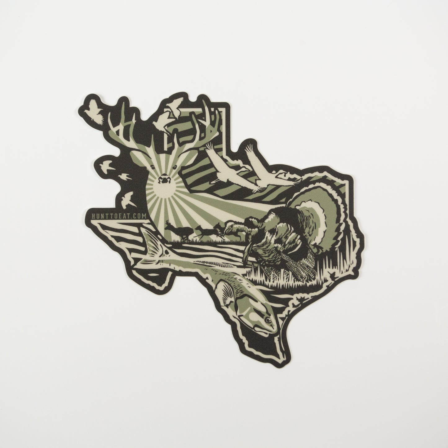 Texas Sticker