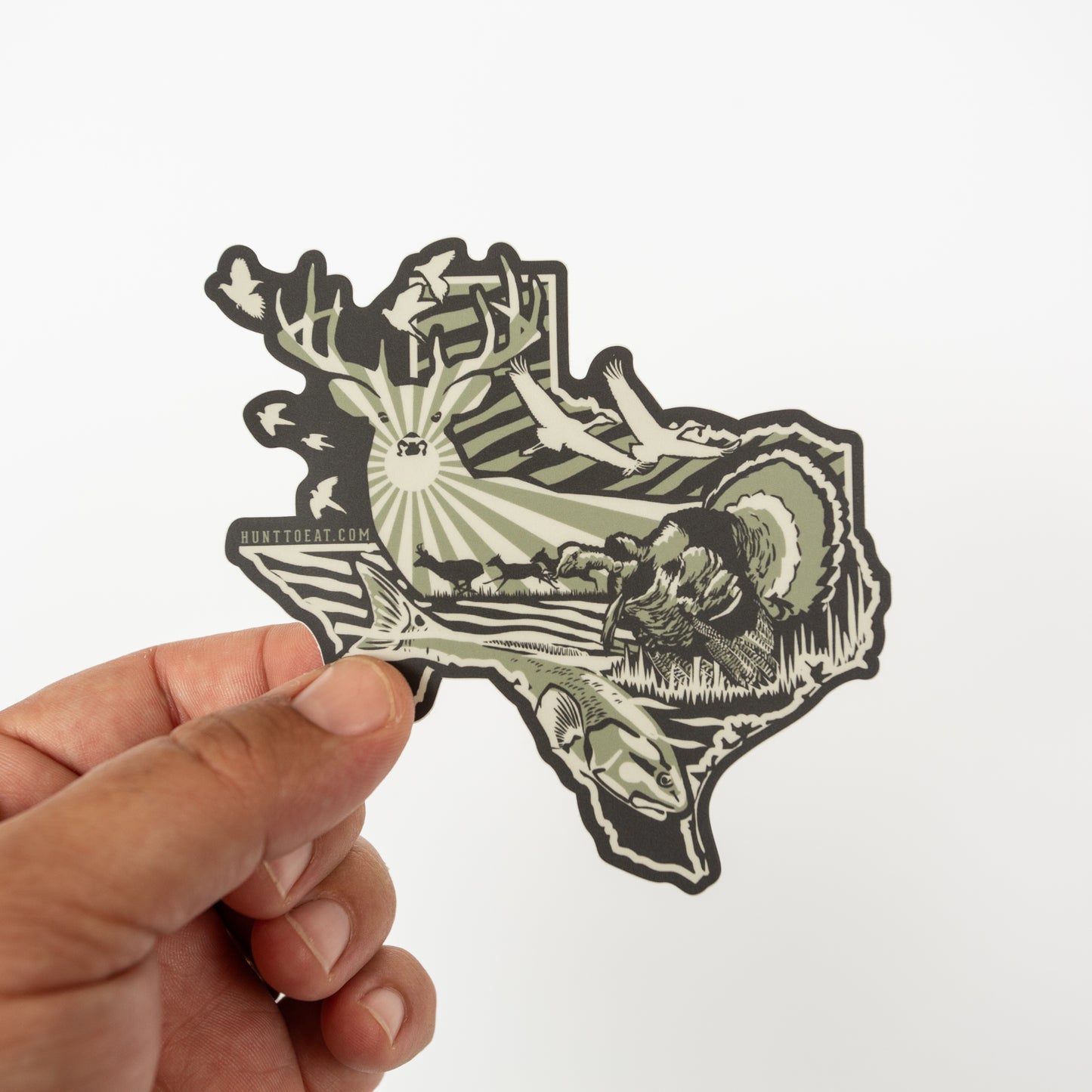 Texas Sticker