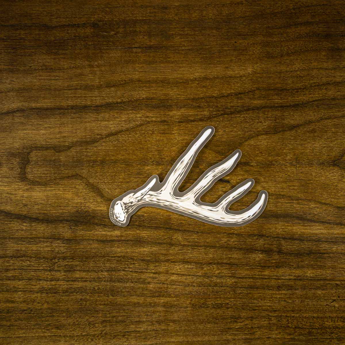 Whitetail Shed Antler Sticker