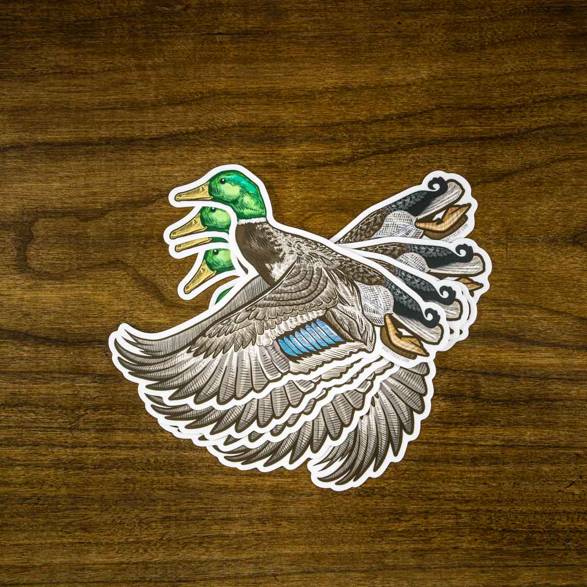 Mallard Sticker