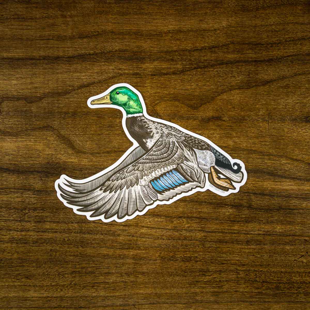 Mallard Sticker