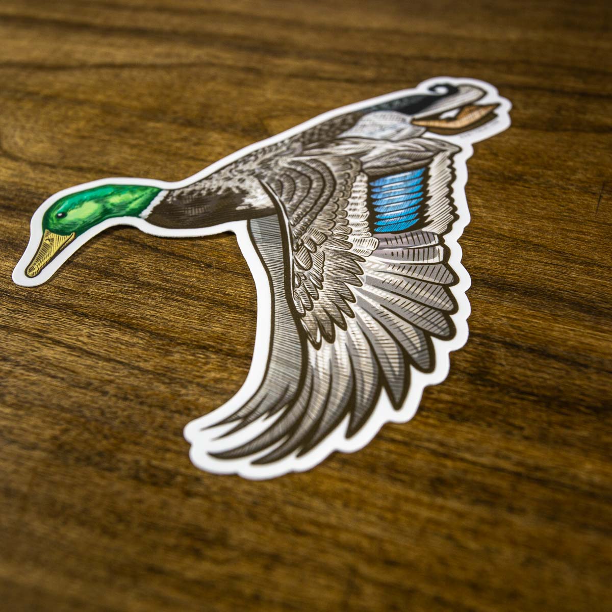 Mallard Sticker