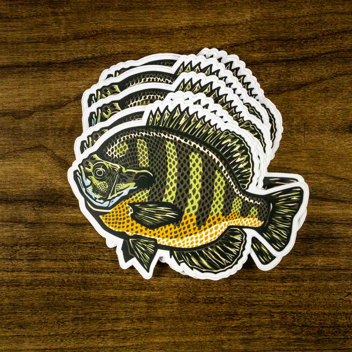 Bull male bluegill artwork on a 4inch by 5inch high quality vinyl decal sticker.