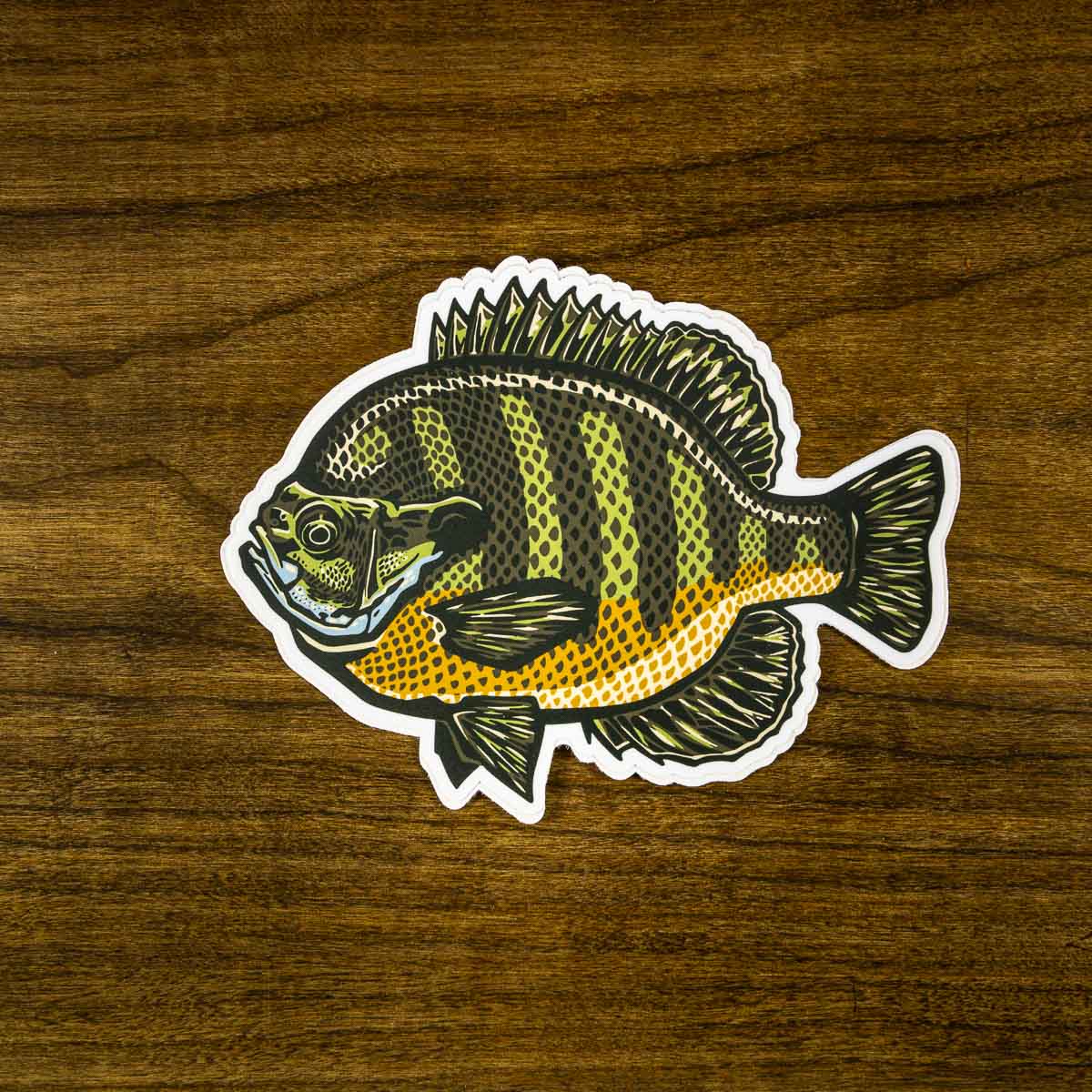 Bull male bluegill artwork on a 4inch by 5inch high quality vinyl decal sticker.