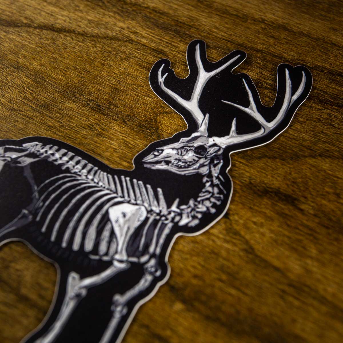 Mule Buck Skeleton Sticker