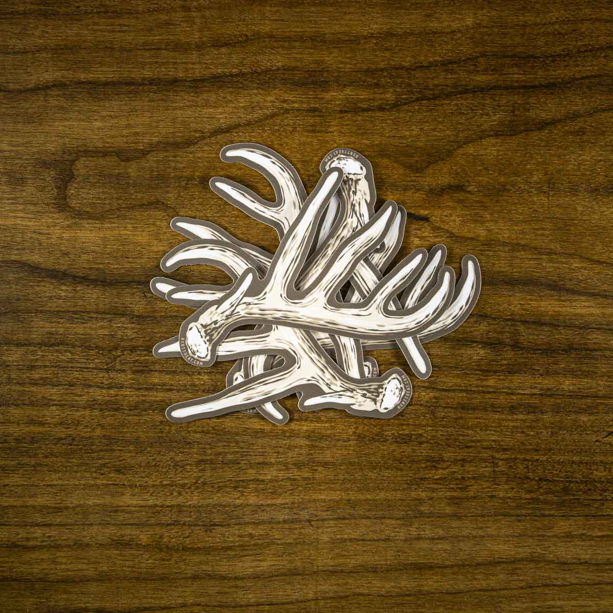 Whitetail Shed Antler Sticker