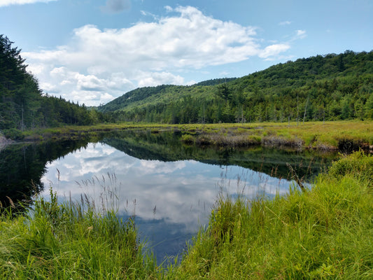 Public and Private Land Connections – An Ecology