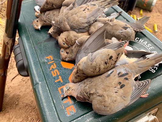 Dove Hunting: The "Whole" Experience
