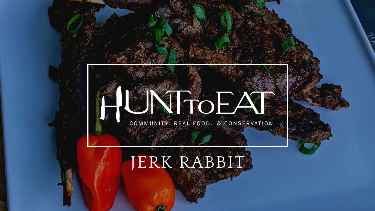 Videos – Hunt To Eat