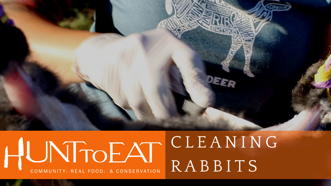 How to Process Rabbits with Carla Brauer