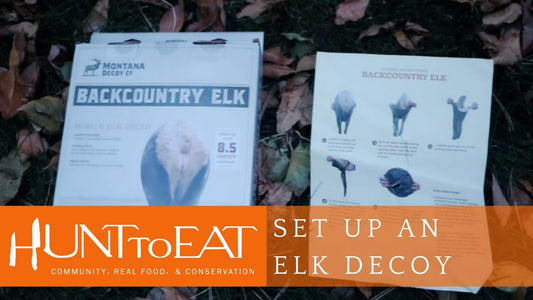 How to Set Up an Elk Decoy