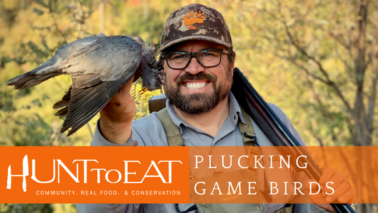 How to Pluck Upland Game Birds
