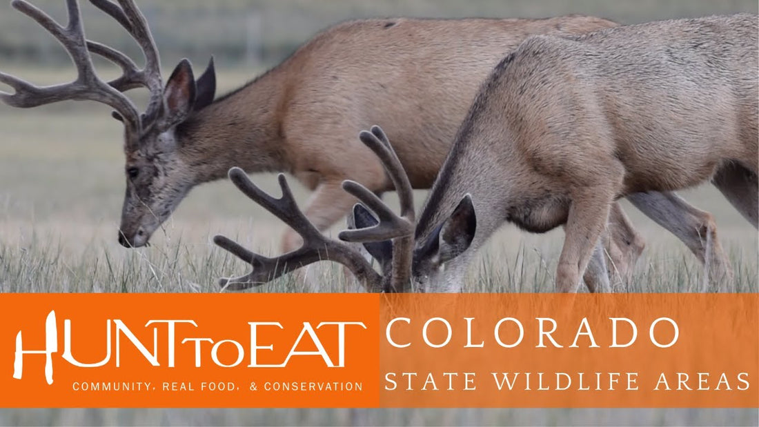 Explaining Colorado's State Wildlife Areas with the Colorado Wildlife Council