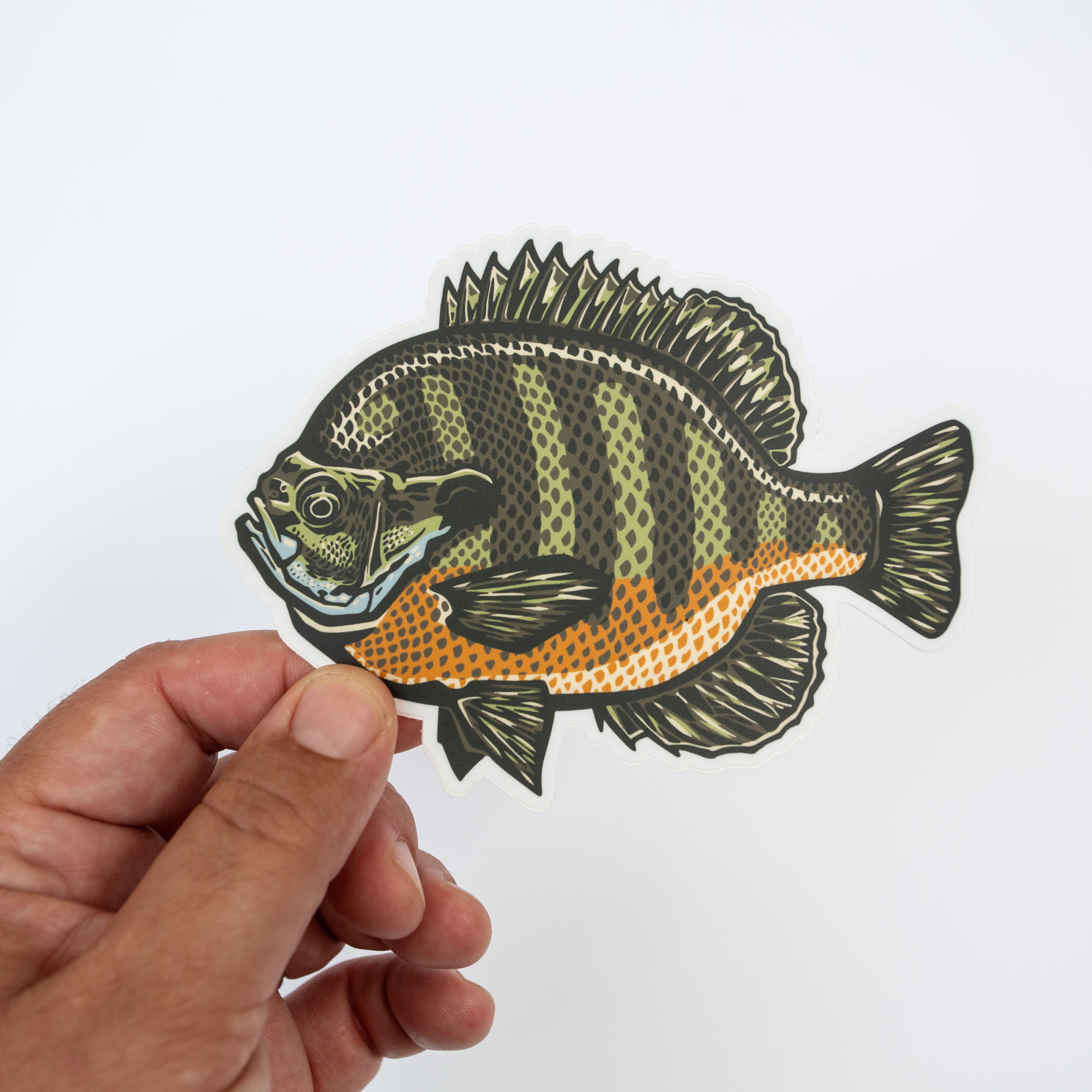 BLUEGILL SLAYER Decal – Fly Fishing Panfish Sticker For Car, Truck, Cooler (White Vinyl)